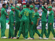 کوئی ذرا ان کو چلو بھر پانی تو لا دے