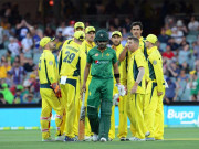 کرکٹ میں شکست تنظیم نو کی ضرورت