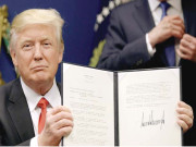 متعصبانہ اقدامات ڈونلڈ ٹرمپ کے گلے پڑ گئے