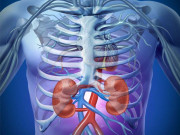 امراضِ گُردہ سالانہ بیس ہزار سے زائد پاکستانی موت کا شکار