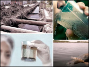 پانی کے نمونوں کی لیباریٹری رپورٹس کیا کہتی ہیں