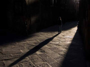 آپ کتنے فیصد انسان ہیں