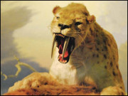 حیوانیات یہ ہے قدرت کی شان