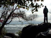 کچھ منتشر خیالات