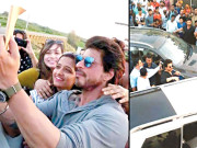 شاہ رخ خان نے لدھیانا میں ڈیرے ڈال دیے