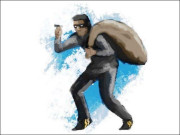 یہ چور اور وہ چور