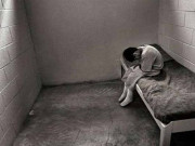 کلبھوشن کو پھانسی کی سزا اور ننھی حنا کی پاکستان واپسی