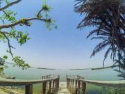 سندھ کی نایاب ہالیجی جھیل