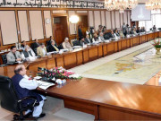 وفاقی کابینہ کے فیصلے