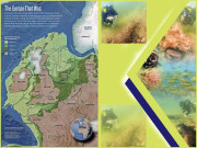 نار فوک کے شمالی سمندر میں 10000سال قدیم جنگل کی دریافت