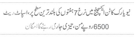  photo 7_zpsd0219202.jpg