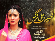 ایکسپریس انٹرٹینمنٹ پر نئی ڈرامہ سیریل ’’نصیبوں جلی نرگس‘‘ آج رات سے آن ایئر ہوگا