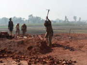 بس پیٹ کی آگ بجھ جائے