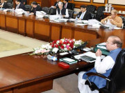 مشترکہ مفادات کونسل میں اہم فیصلے