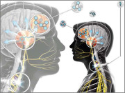 فوجیوں کے دماغ ’ہیک‘ کیے جائیں گے