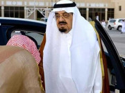 سعودی شہزادہ مشعل بن عبدالعزیز انتقال کر گئے