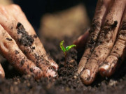 ’شہر کا قرض‘