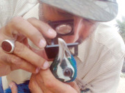 تھرپارکرنوکوٹحیدرآباداورسانگھڑمیں مزید 36 مور ہلاک