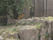 ’پُرسکون موت‘ کی پہلی ممکنہ کارروائی کی تیاریاں