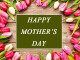 ملک بھر میں آج ماں کی عظمت کے حوالے سے سرکاری وغیر سرکاری سطح پر تقریبات منعقد کی جارہی ہیں ۔ فوٹو: فائل