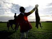 لومڑی کا شکار برطانیہ کا سب سے اہم مسئلہ