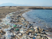 سمندری آلودگی ڈیڈ زونز کا بڑھنا قابل تشویش ہے