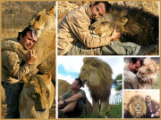 شیروں کا دوست