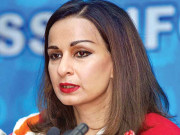 شیریں رحمٰن ’’لیڈی سینیٹر‘‘ کہنے پر سیخ پا وزیر قانون پر برس پڑیں