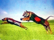 کتے پر بھارتی جھنڈا ٹائیگر تعاقب میں بنگلادیش نے ماحول گرما دیا