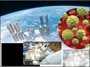 سرطان پر تحقیق خلا میں