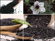 کلونجی کی حقیقت