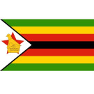 زمبابوے کے پاس صرف 217ڈالر رہ گئے دیوالیہ ہونیکا خدشہ 