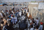 ماہی گیروں نے سمندر سے 15 فٹ سے زائد لمبی وہیل شارک پکڑلی