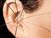 بڑھتا ہوا جان لیوا شور