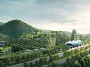 چین نے دنیا کا پہلا جنگل نما شہر بسانے پر کام شروع کردیا