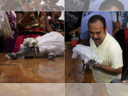 میکسیکن قصبے کے میئر کی مگر مچھ سے شادی