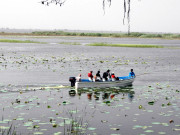 ہالیجی جھیل تباہی سے دوچار