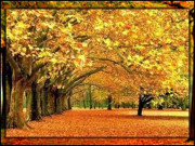 خَزاں میں بہار