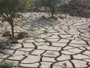 موسمیاتی تبدیلیوں کے چیلنج سے نمٹنے کی ضرورت