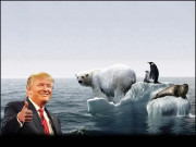 شدید گرمی نے صدر ٹرمپ کا دماغ گھما دیا