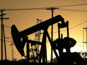 پاکستانی خطے میں معاشی ترقی کی رفتار سست پڑنے کا خدشہ