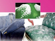 مون سون میں اشیا کو پھپھوندی لگنے سے بچائیں