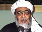 طاہرالقادری نئے این آراوکیلیے اسٹیج تیارکررہے ہیں حافظ حسین