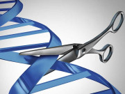 دل کی موروثی بیماری کا خراب جین نکال باہر کردیا گیا