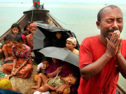 میانمار میں روہنگیا مسلمانوں کیخلاف ایک بار پھر کارروائی شروع