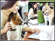 ’’ روزانہ پالتو جانور ساتھ لے کر دفتر آئیں ‘‘