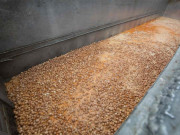 برطانیہ اور فرانس میں بھی زہریلے انڈوں کا انکشاف