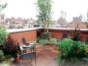 گھر کی چھت کو نظرانداز نہ کریں