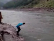 شیر کی زندگی