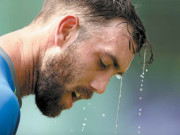 ڈھاکاکاگرم موسم کینگروزکے پسینے چھڑانے لگامیسکویل کوہیٹ اسٹروک